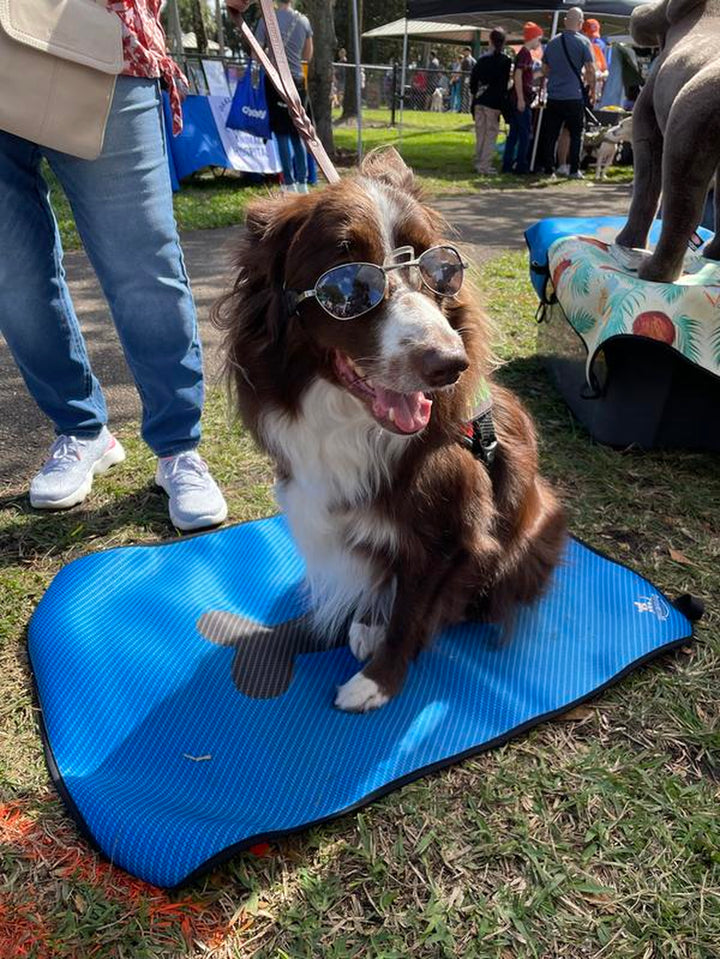 Wagaround Dog Travel Mat- Blue Carbon